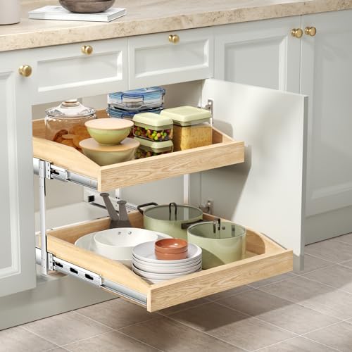 2-Tier Pull Out Cabinet Organizer N4386
