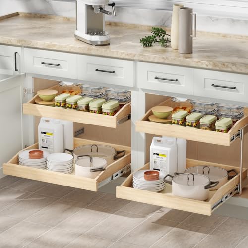 2-Tier Pull Out Cabinet Organizer N4386