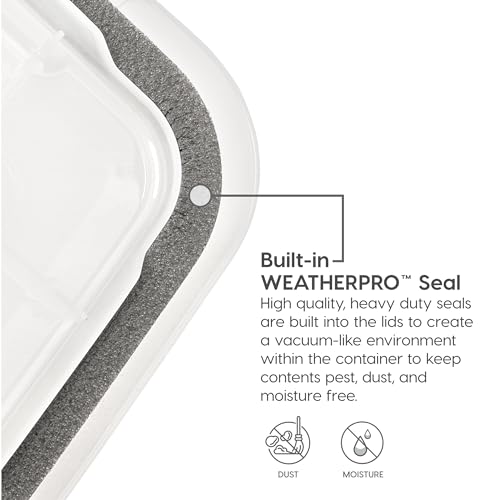 Clear 32 Qt Plastic File Box 4 Pack P649419