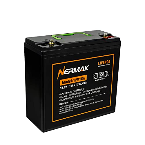 12V 10Ah LiFePO4 Deep Cycle Battery 2 Pack A919