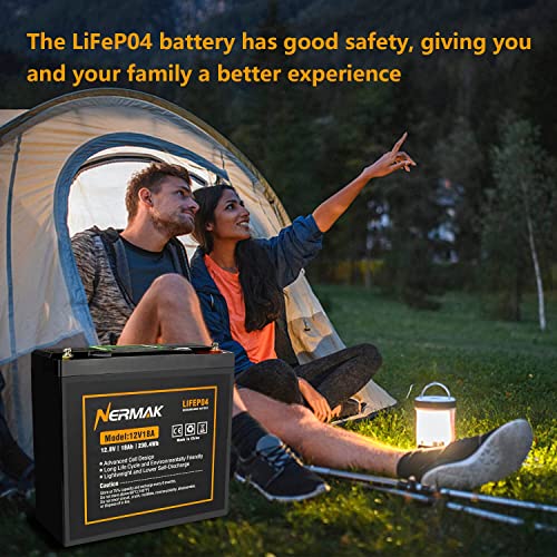 12V 10Ah LiFePO4 Deep Cycle Battery 2 Pack A919