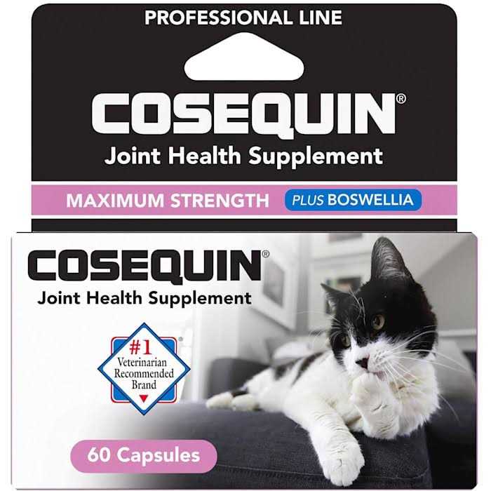 Joint Health Cat Supplement Capsules D43187