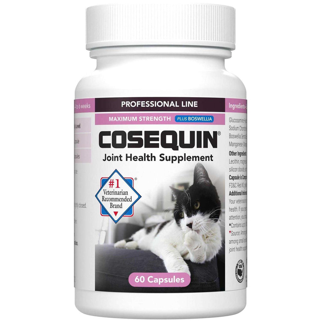 Joint Health Cat Supplement Capsules D43187