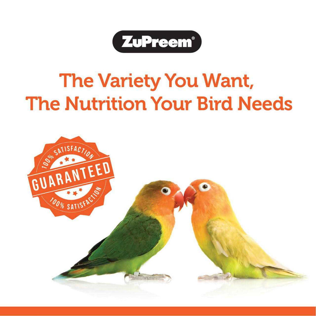 PastaBlend Food for Medium Birds D672123