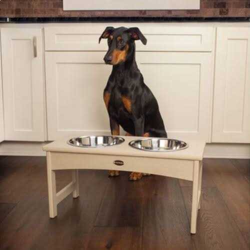 Pet Feeder O19279