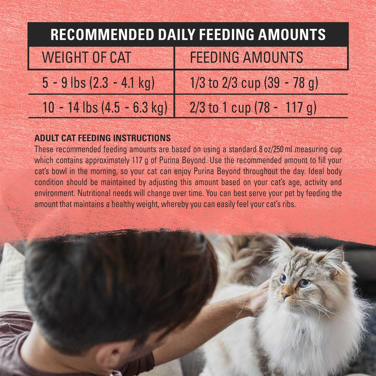 Cat Dry Food D4868